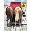 Avanti Horses In Photo Booth Birthday Greeting Card
