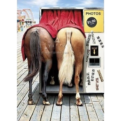 Avanti Horses In Photo Booth Birthday Greeting Card