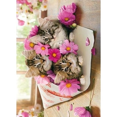 Avanti Kitten Bouquet Birthday Greeting Card