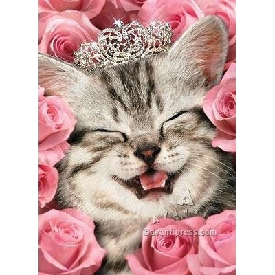 Avanti Kitten Face Flowers Tiara Birthday Greeting Card