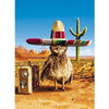 Avanti Owl Sombrero - Core Version Birthday Greeting Card