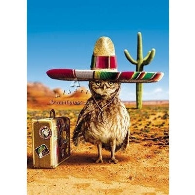 Avanti Owl Sombrero - Core Version Birthday Greeting Card