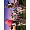 Avanti Party Cows Birthday Greeting Card