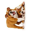 Avanti Playful Bulldog Puppies Family Birthday Greeting Card