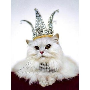 Avanti Princess Kitten Birthday Greeting Card