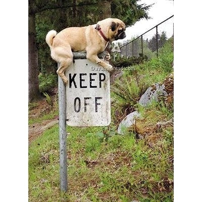 Avanti Pug Keep Off Sign Birthday Greeting Card