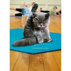 Avanti Yoga Cat Almost Funny Greeting Card