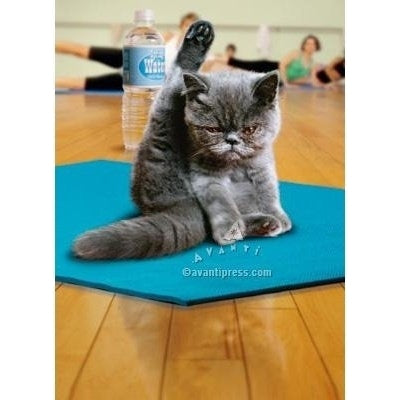 Avanti Yoga Cat Almost Funny Greeting Card