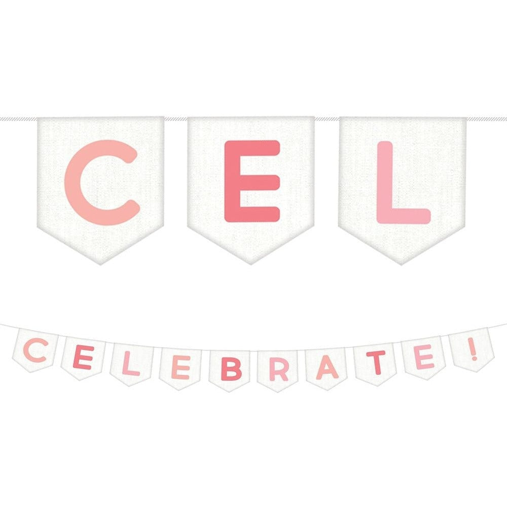 Birthday Accessories Pinks Pennant Banner