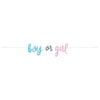 Blue Or Pink Gender Reveal Banner, 7Ft