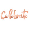 Blush Birthday Foil Centerpiece