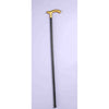 Cane - Walking