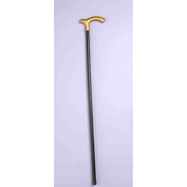 Cane - Walking