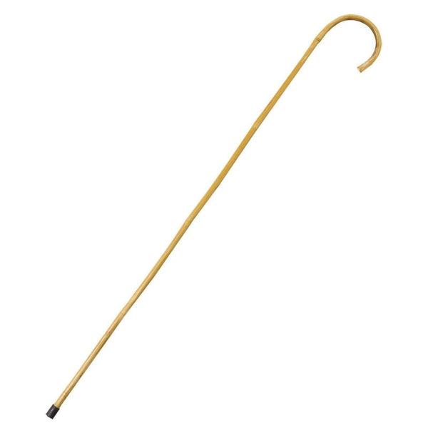 Walking Cane