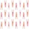 Clothespins Favors - Pink, Multi