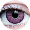 ContaCounts - Primal Enchanted Lilac