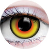ContaCounts - Primal Mad Hatter