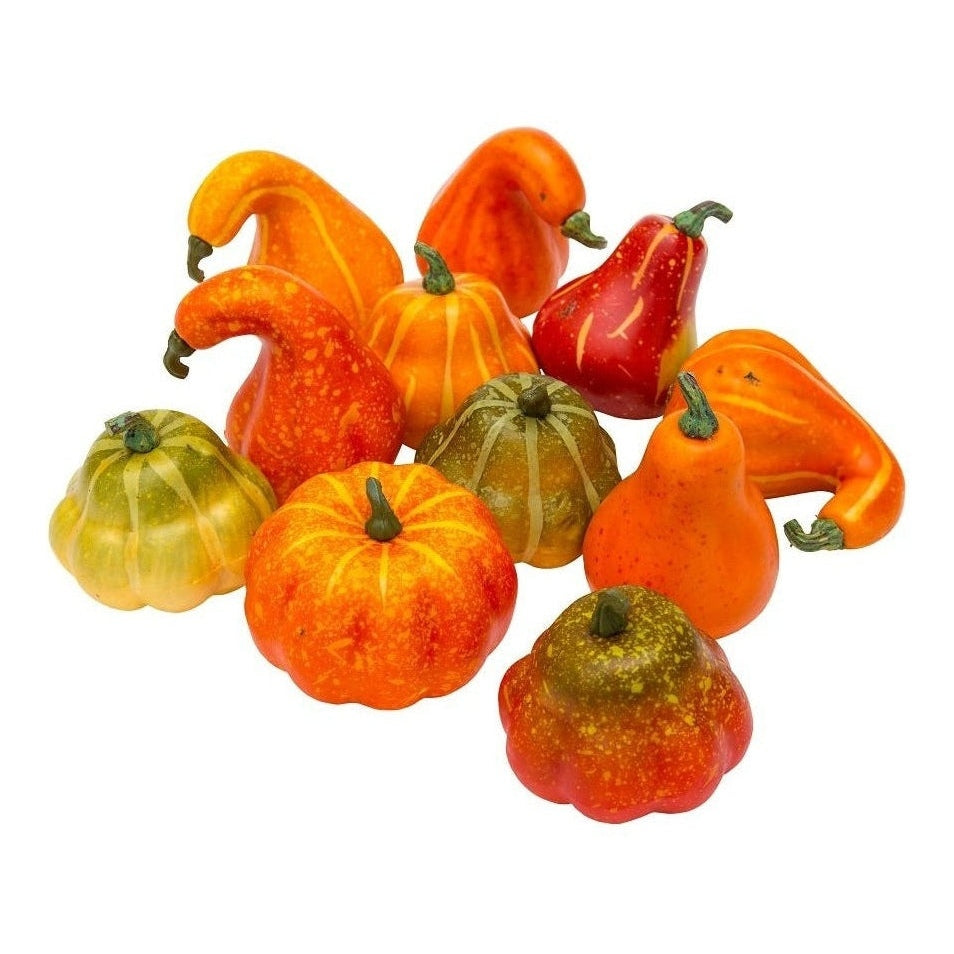 Bag Of Assorted Gourds 12Pc