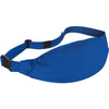 Fanny Pack - Blue