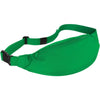 Fanny Pack - Green