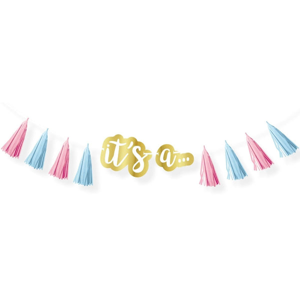 Gender Reveal Tassel Garland