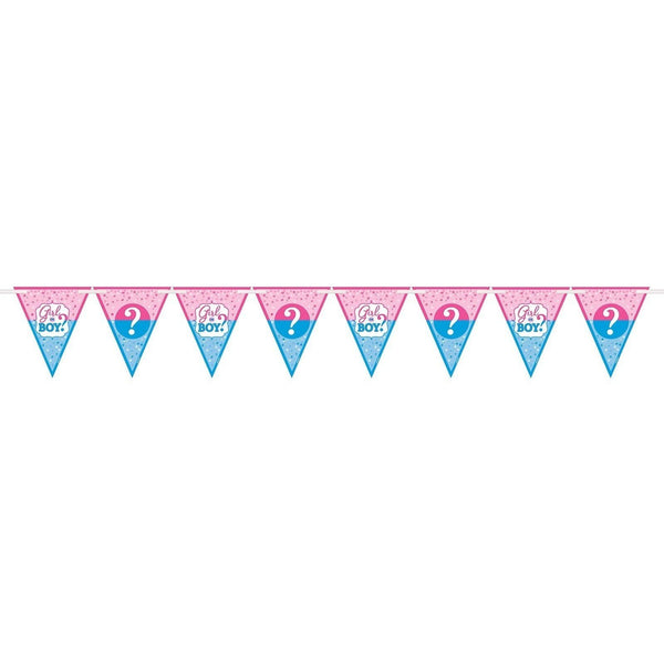 Girl Or Boy? Paper Pennant Banner