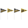 Graduation Small Pennants