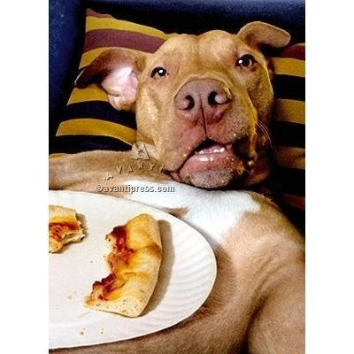 Avanti Dog Pizza Plate Birthday Greeting Card
