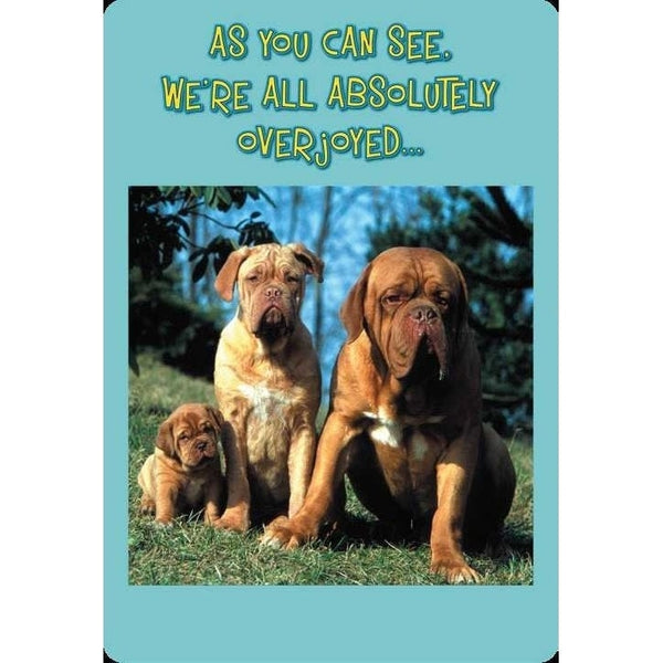 Greeting Card - Colossal Birthday From All Humor