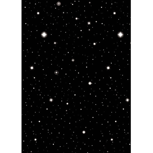 Hollywood Starry Nights Plastic Room Roll
