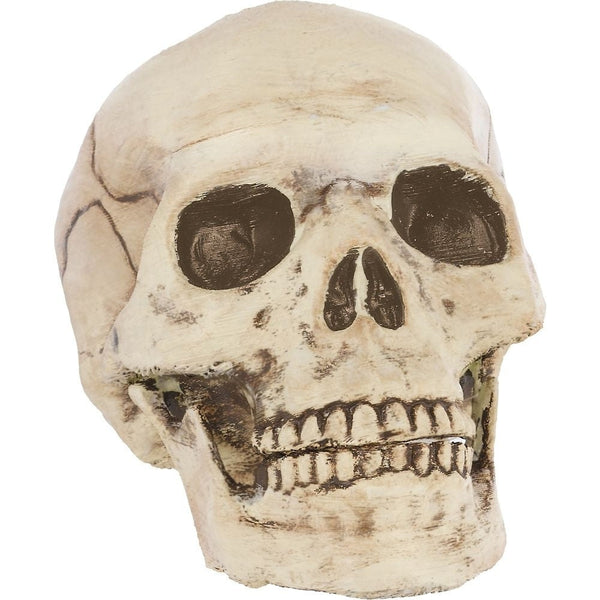 Jointed Mouth Plastic Skull