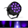 Blacklight - Hanging Uv