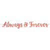 Navy Bride Foil Letter Banner