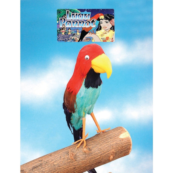 Parrot - Pirate