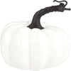 Pumpkin - White 5X 4