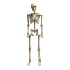 Skeleton Animated 60" Prop