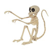 Skeleton Monkey 7.5" Prop