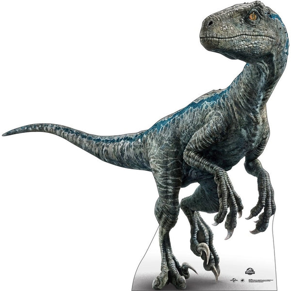 Standup - Jurassic Blue