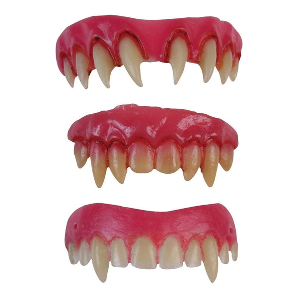 Teeth - Dental Veneer Asst