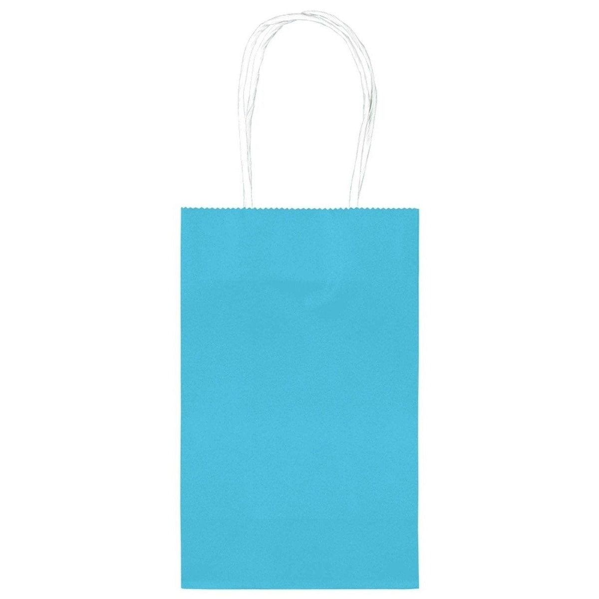 Turquoise Value Pack Paper Cub Bags