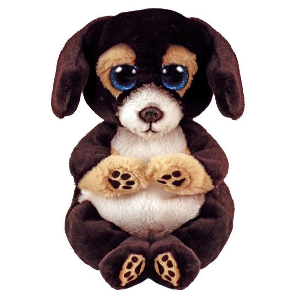 Ty - Belly Ranger Dog