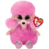 Ty - Camilla Poodle Reg
