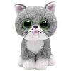 Ty - Fergus Cat Reg