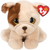 Ty - Houghie Pug Med