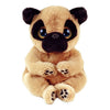 Ty - Izzy Dog Reg