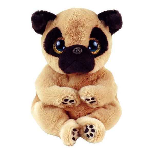 Ty - Izzy Dog Reg