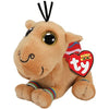 Ty - Jamal Camel Med