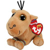 Ty - Jamal Camel Reg