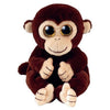 Ty - Matteo Monkey Reg