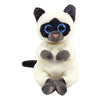 Ty - Miso Siamese Reg